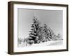 Snow Covering Countryside Near Lake Ladoga-Carl Mydans-Framed Photographic Print