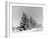 Snow Covering Countryside Near Lake Ladoga-Carl Mydans-Framed Photographic Print