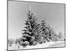 Snow Covering Countryside Near Lake Ladoga-Carl Mydans-Mounted Photographic Print