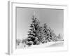 Snow Covering Countryside Near Lake Ladoga-Carl Mydans-Framed Photographic Print