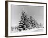 Snow Covering Countryside Near Lake Ladoga-Carl Mydans-Framed Photographic Print