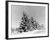 Snow Covering Countryside Near Lake Ladoga-Carl Mydans-Framed Photographic Print