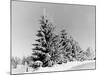 Snow Covering Countryside Near Lake Ladoga-Carl Mydans-Mounted Photographic Print