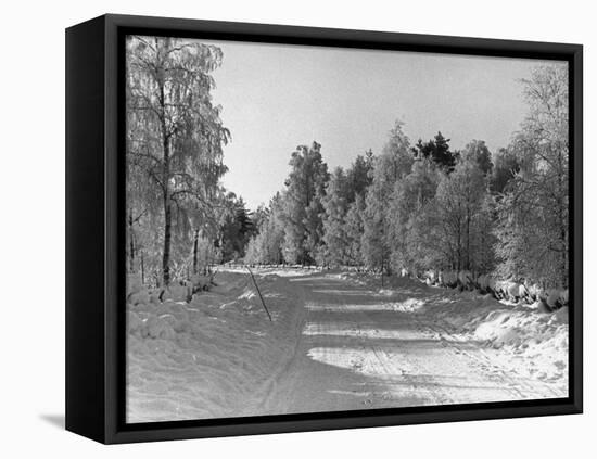 Snow Covering Countryside Northeast of Lake Ladoga-Carl Mydans-Framed Stretched Canvas