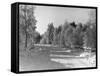 Snow Covering Countryside Northeast of Lake Ladoga-Carl Mydans-Framed Stretched Canvas