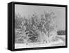 Snow Covering Countryside Northeast of Lake Ladoga-Carl Mydans-Framed Stretched Canvas