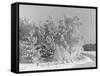 Snow Covering Countryside Northeast of Lake Ladoga-Carl Mydans-Framed Stretched Canvas