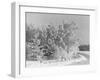 Snow Covering Countryside Northeast of Lake Ladoga-Carl Mydans-Framed Photographic Print