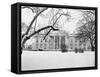 Snow Covering the White House Lawn-Arnold Sachs-Framed Stretched Canvas