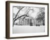 Snow Covering the White House Lawn-Arnold Sachs-Framed Photographic Print