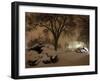 Snow Covers the Lawn in Front of the White House in Washington-null-Framed Photographic Print