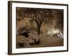 Snow Covers the Lawn in Front of the White House in Washington-null-Framed Photographic Print