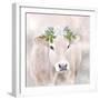 Snow Cow-Kim Allen-Framed Premium Giclee Print