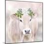 Snow Cow-Kim Allen-Mounted Premium Giclee Print