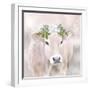 Snow Cow-Kim Allen-Framed Art Print