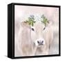 Snow Cow-Kim Allen-Framed Stretched Canvas