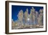 Snow Crystals on Trees in Winter, Lapland, Sweden-Arctic-Images-Framed Photographic Print