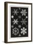 Snow Crystals-null-Framed Art Print