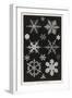 White Frame