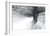 Snow Dancer-Ursula Abresch-Framed Photographic Print