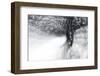 Snow Dancer-Ursula Abresch-Framed Photographic Print