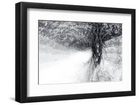 Snow Dancer-Ursula Abresch-Framed Photographic Print