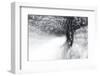 Snow Dancer-Ursula Abresch-Framed Photographic Print