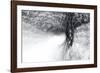 Snow Dancer-Ursula Abresch-Framed Photographic Print