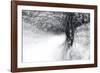 Snow Dancer-Ursula Abresch-Framed Photographic Print