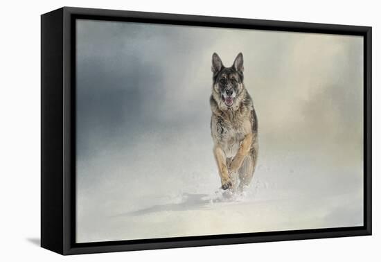 Snow Day for the Shepherd-Jai Johnson-Framed Stretched Canvas