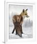 Snow Day (Fox)-Molly Sims-Framed Giclee Print