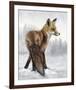 Snow Day (Fox)-Molly Sims-Framed Giclee Print