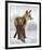 Snow Day (Fox)-Molly Sims-Framed Giclee Print