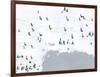 Snow Day - Ski Time-Kristine Hegre-Framed Giclee Print