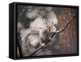 Snow Day Squirrel-Jai Johnson-Framed Stretched Canvas