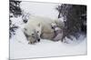 Snow Day-Art Wolfe-Mounted Giclee Print