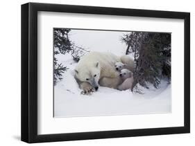Snow Day-Art Wolfe-Framed Art Print