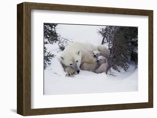 Snow Day-Art Wolfe-Framed Art Print