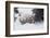 Snow Day-Art Wolfe-Framed Art Print