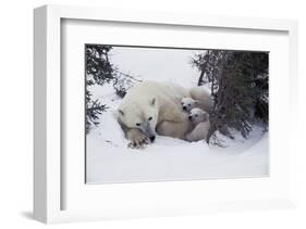 Snow Day-Art Wolfe-Framed Art Print