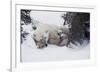 Snow Day-Art Wolfe-Framed Art Print