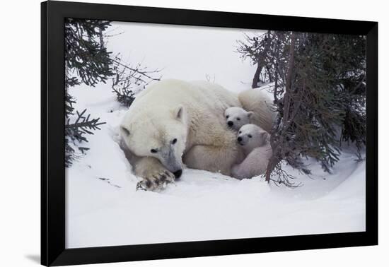 Snow Day-Art Wolfe-Framed Art Print