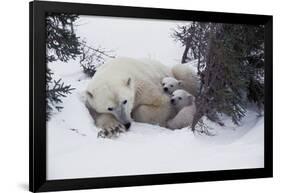 Snow Day-Art Wolfe-Framed Art Print