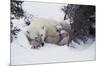 Snow Day-Art Wolfe-Mounted Art Print