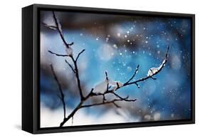 Snow Day-Ursula Abresch-Framed Stretched Canvas