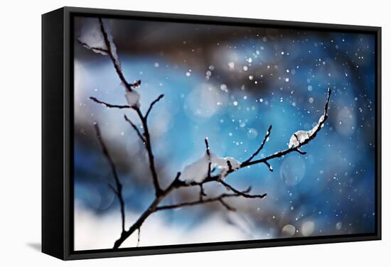 Snow Day-Ursula Abresch-Framed Stretched Canvas