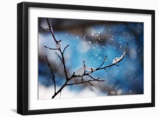 Snow Day-Ursula Abresch-Framed Photographic Print