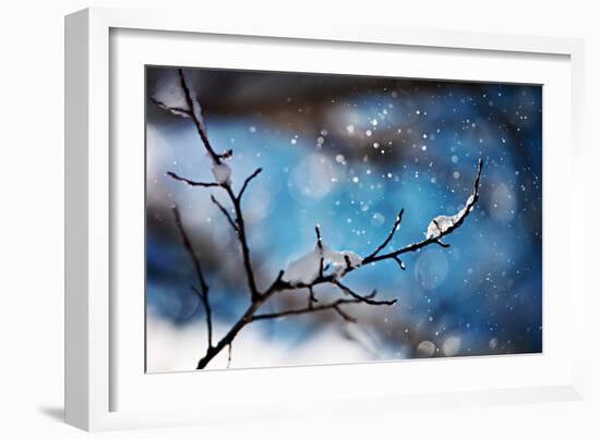 Snow Day-Ursula Abresch-Framed Photographic Print