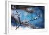 Snow Day-Ursula Abresch-Framed Photographic Print