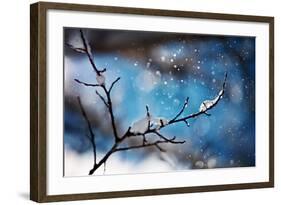 Snow Day-Ursula Abresch-Framed Photographic Print